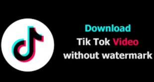 Tiktok Downloader tanpa Watermark