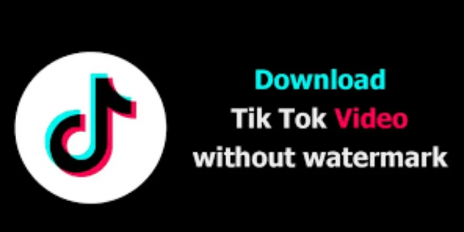 Tiktok Downloader tanpa Watermark