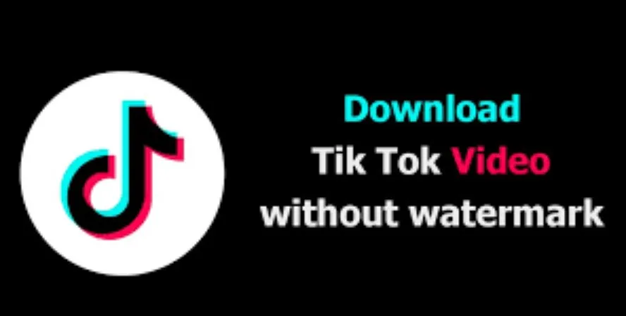 Tiktok Downloader tanpa Watermark (Kualitas HD)