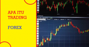 Apa Itu Trading Forex