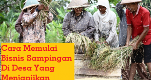 Cara Memulai Bisnis Sampingan Di Desa Yang Menjanjikan