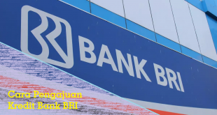 cara pengajuan kredit bank bri