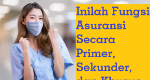 Inilah Fungsi Asuransi Secara Primer