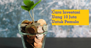 Cara Investasi Uang 10 Juta Untuk Pemula