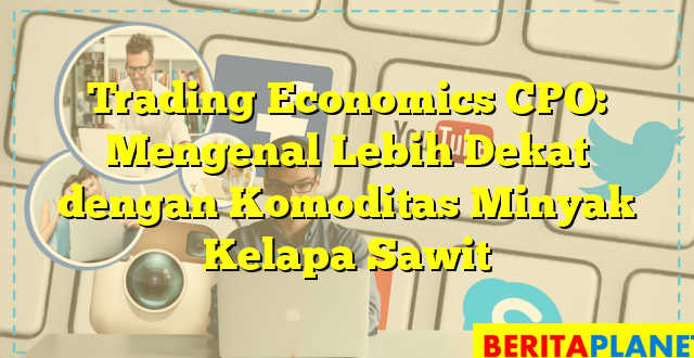 Trading Economics CPO: Mengenal Lebih Dekat dengan Komoditas Minyak Kelapa Sawit