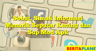 Sobat, Simak Informasi Menarik Seputar Kucing dan Sup Mod Apk